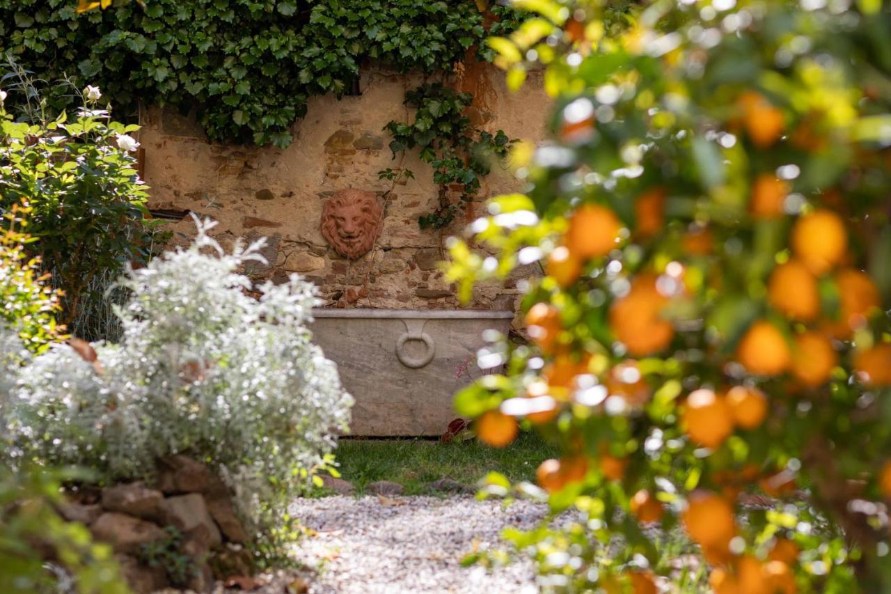 Secret Garden Firenze B&B Luaran gambar