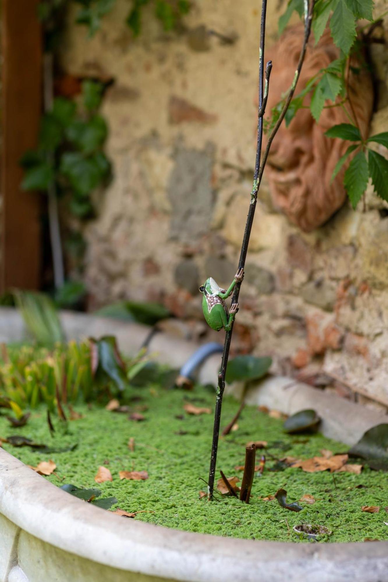 Secret Garden Firenze B&B Luaran gambar