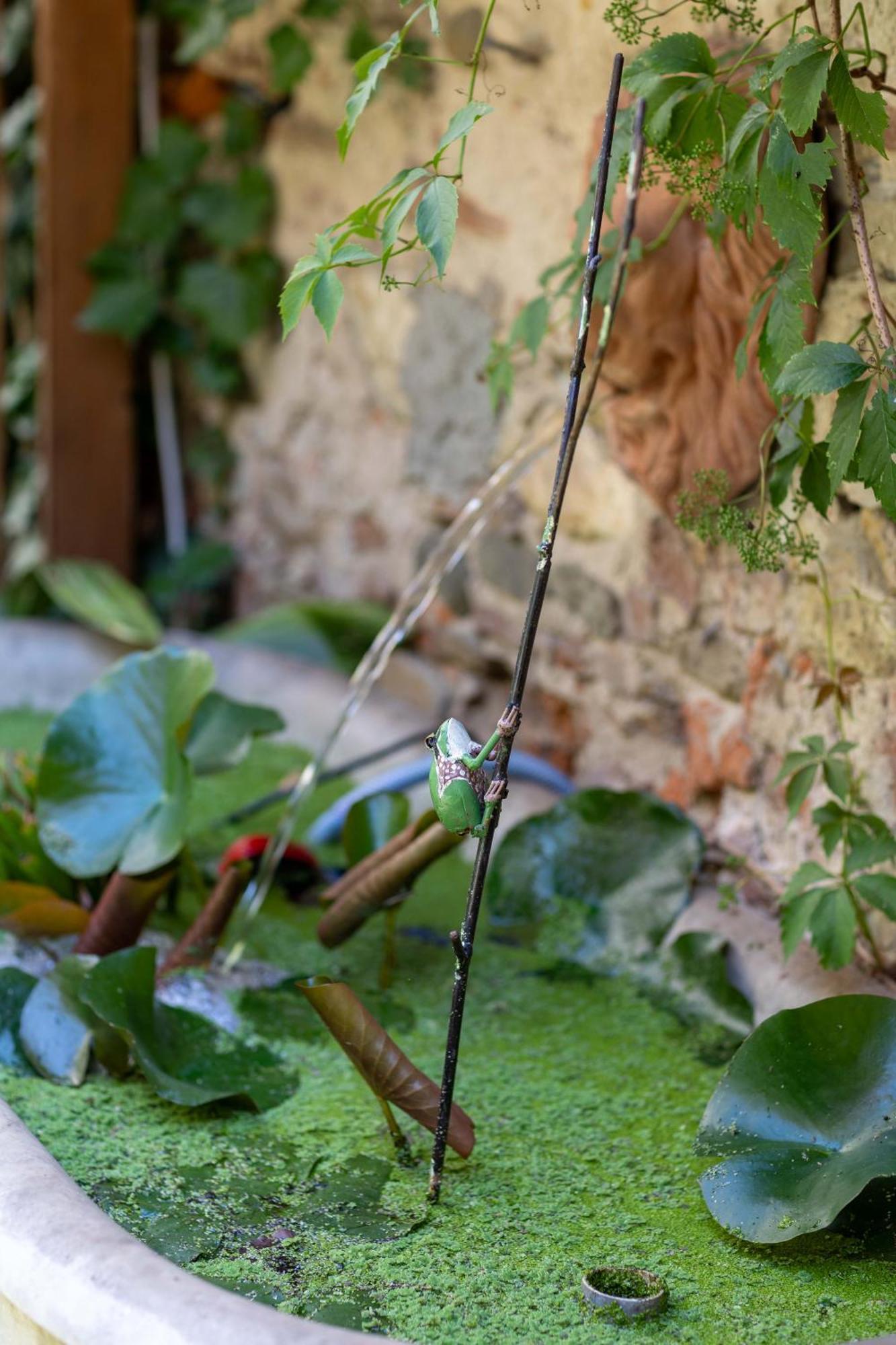 Secret Garden Firenze B&B Luaran gambar