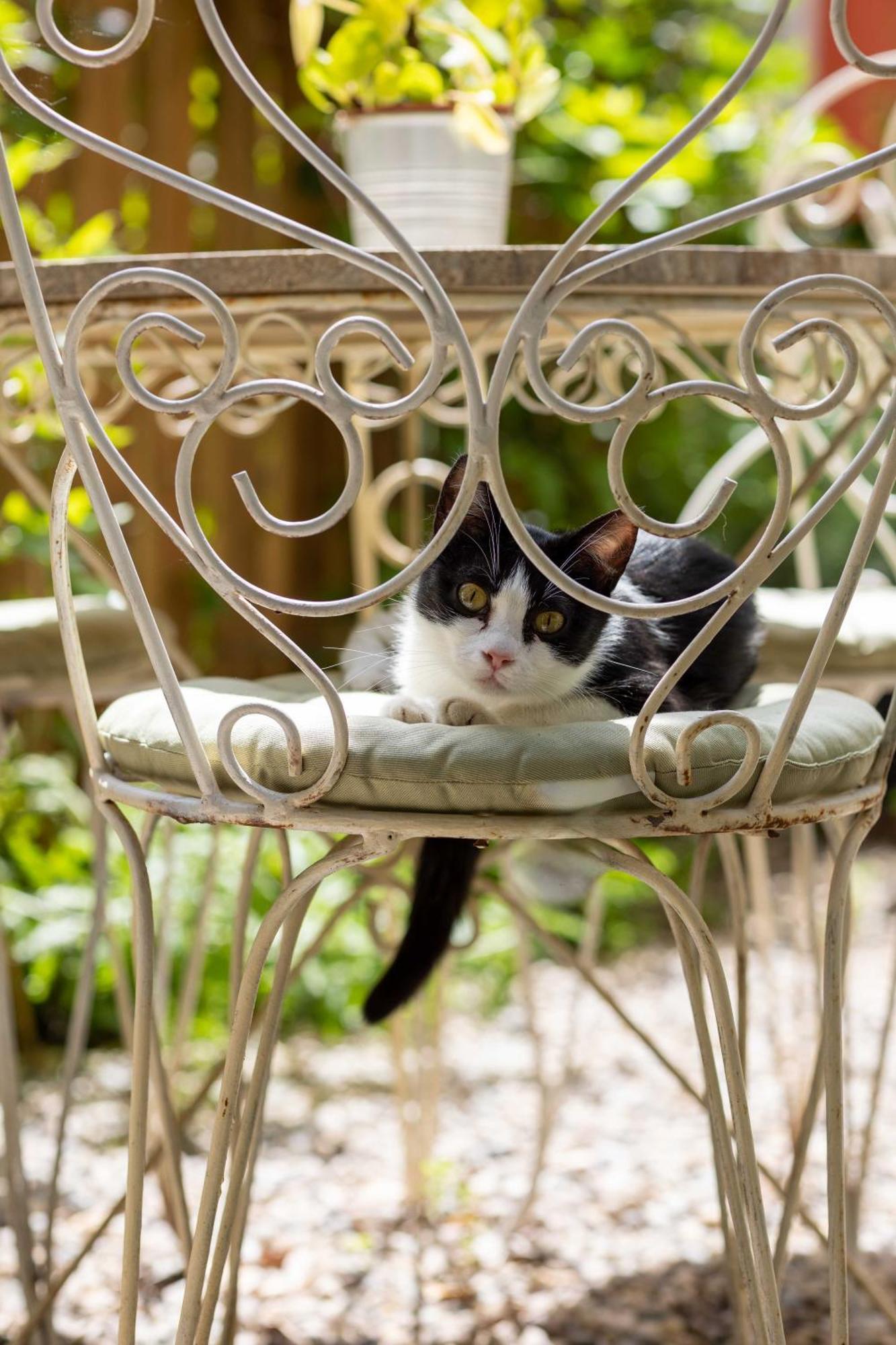 Secret Garden Firenze B&B Luaran gambar